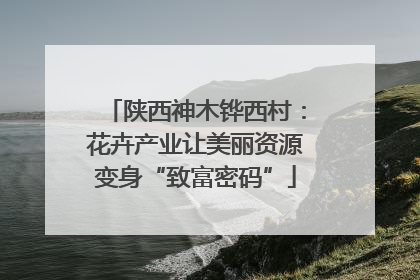 陕西神木铧西村：花卉产业让美丽资源变身“致富密码”